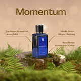 Momentum Perfume