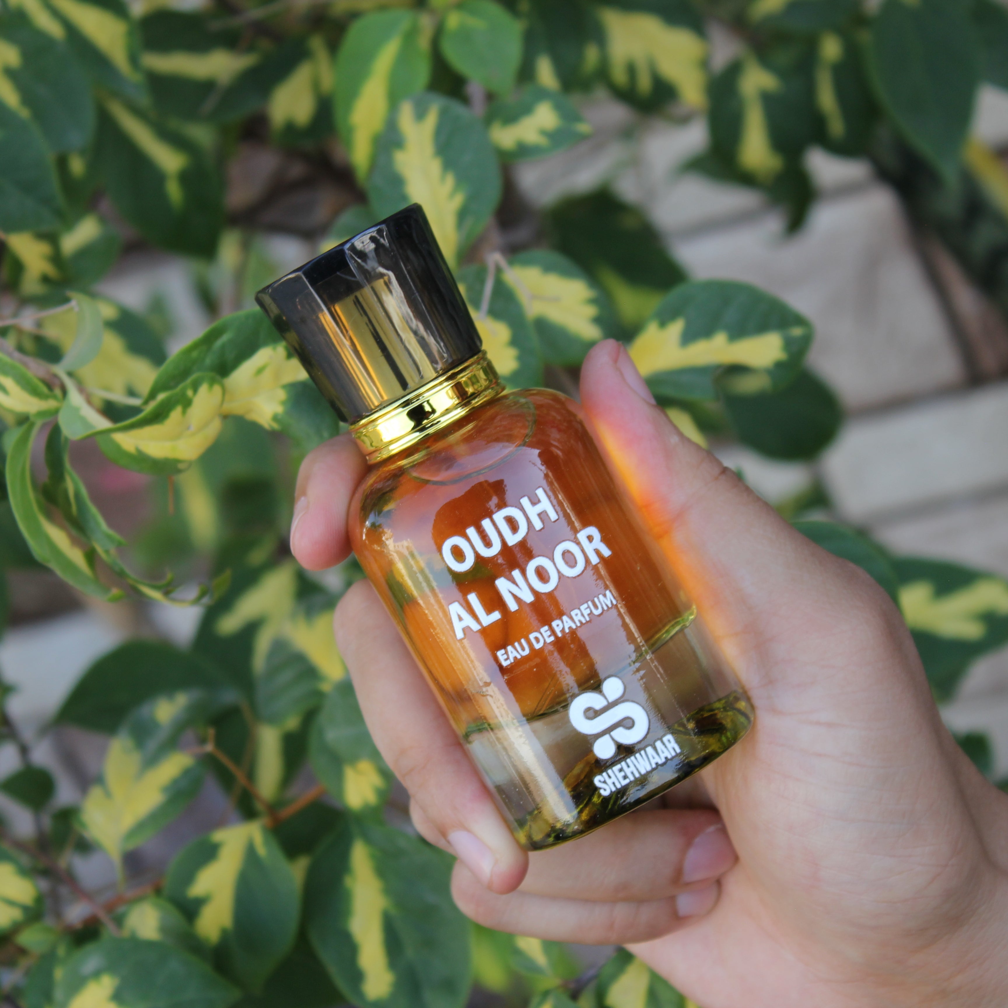 Oudh Al Noor Perfume